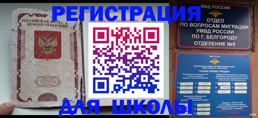 прописка штамп в Тереке